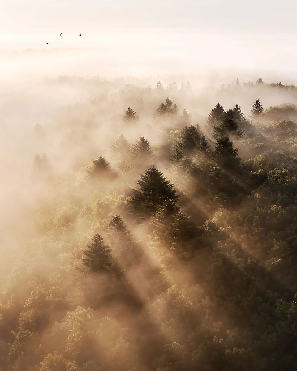 ProjectBluCo's tweet photo. "A single sunbeam is enough to drive away many shadows" - Saint Francis of Assisi ๐
๐ธ: madspeteriversen_photography
#projectblu #protecttheplanet https://t.co/TBwEmG2JP4