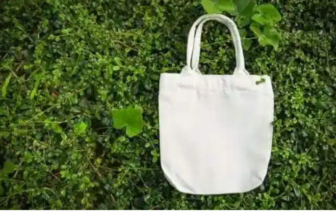 hlm390's tweet photo. @ProjectForestHQ   #ProjectForest #GreenWeek https://t.co/e2i2nKIt2X