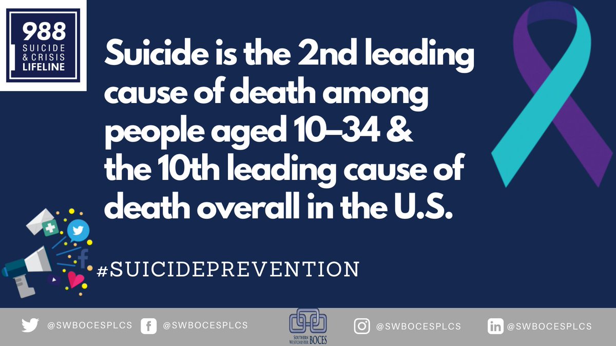 School Library System tweet media