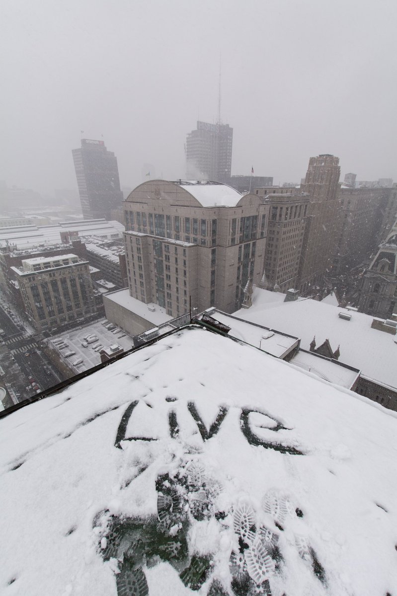 Tim | 📸 tweet media