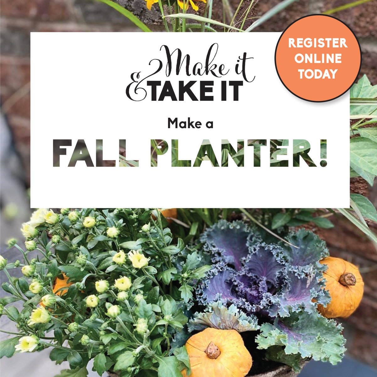 We are so excited to welcome our guests back for a fun season of Make it and Take it in-store events! Work with a Sheridan Nurseries designer to create your own custom fall planter. Visit us online to sign up today! Limited spots available. 
ow.ly/kjO750KKH8f