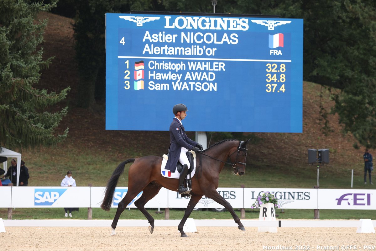 FRA_Equitation's tweet photo. #mondiaux2022 #Pratoni2022 #eventing #complet
Si vous avez manqué la 1ère journée de dressage des championnats du monde pas de panique, séance de rattrapage par ici
👉 résumé et les réactions à chaud de nos trois tricolores : https://t.co/PNTEfsE3po
©FFE-PSV et Jessica Rodrigues https://t.co/U7BLR22BlE