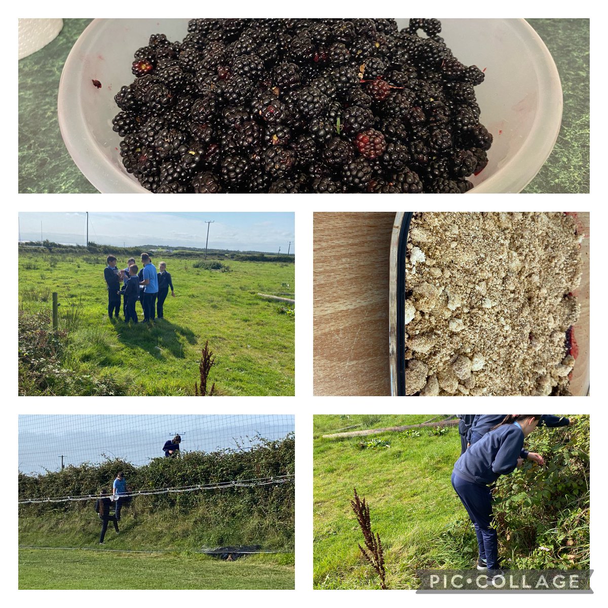 A very ‘fruitful’ afternoon in Doonaha NS! Picking blackberries and making a delicious Blackberry crumble. Great teamwork yielded amazing results !