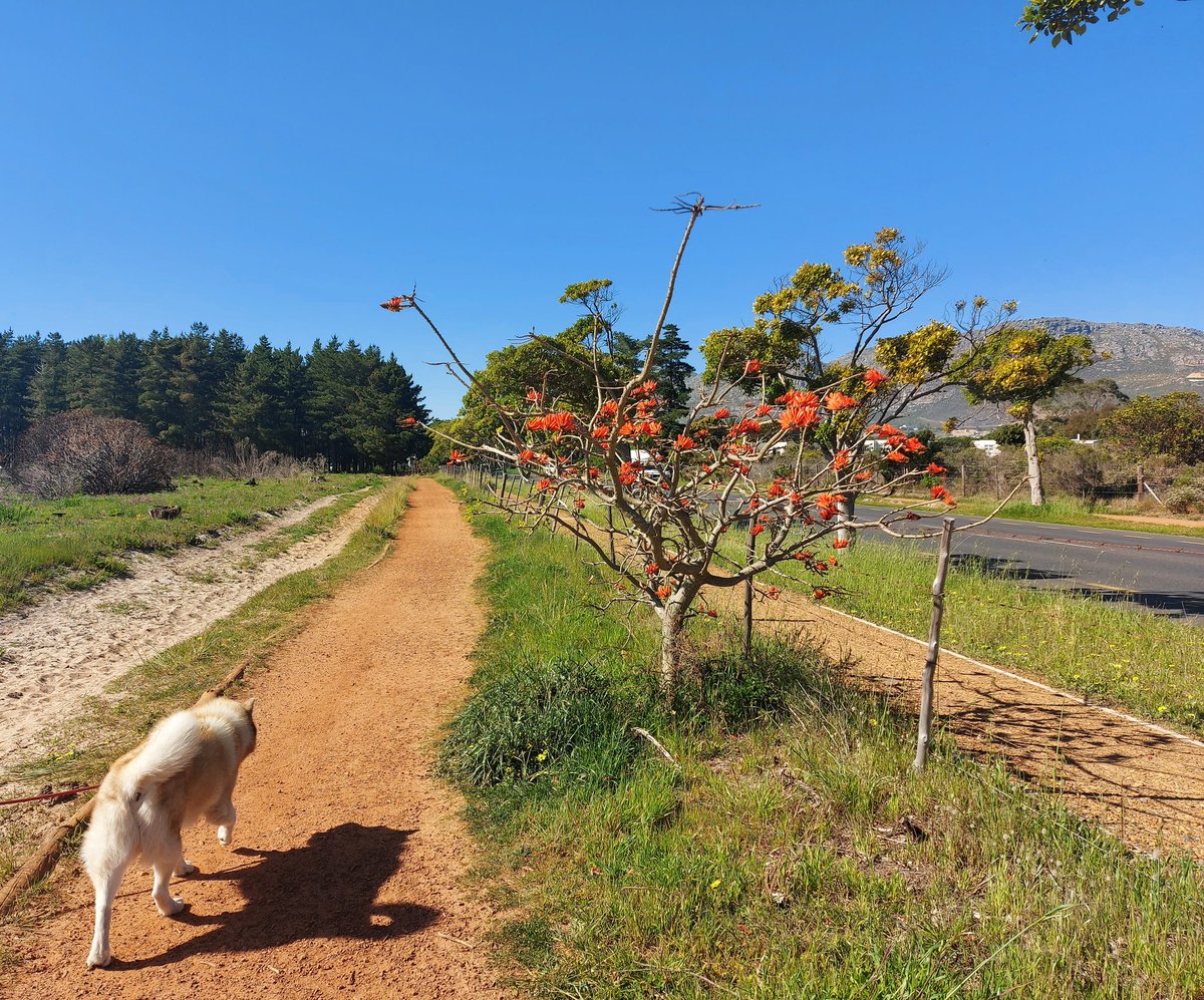 Natalie Malgas tweet media