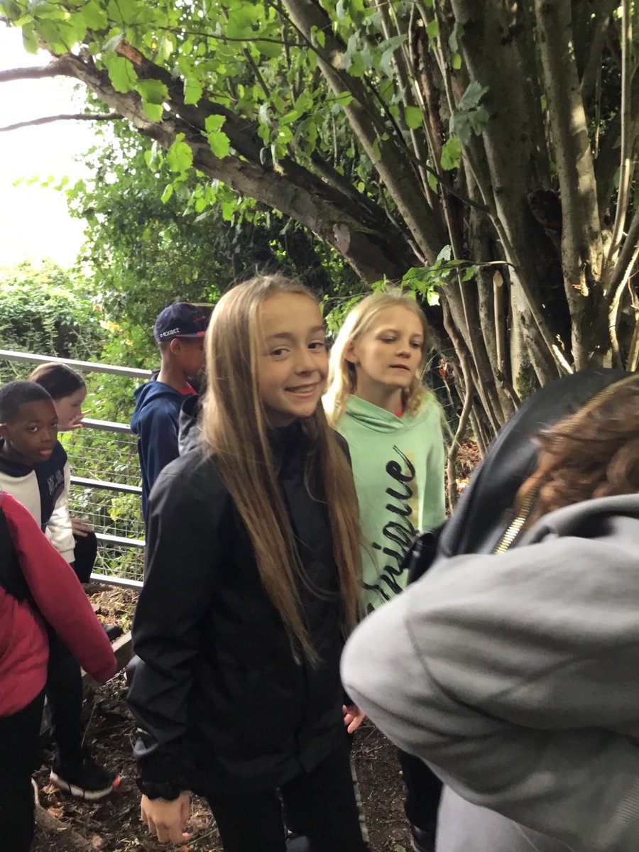 StPetersYearSix's tweet photo. https://t.co/SS9qTdHRSg
