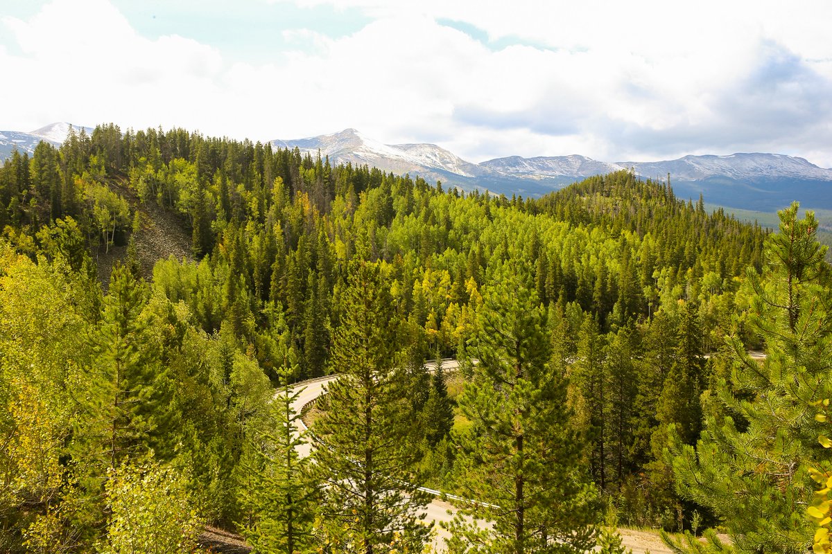 It’s official! 🍂❄️There’s a dusting of snow on the mountain tops and the leaves are changing! We can’t wait for cool autumn days, pumpkin spice lattes, fall biking and more! What are you most excited for this fall in Breckenridge?? #BreckLife