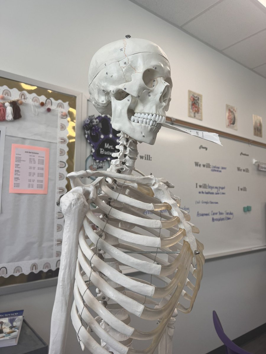 From this point forward, all tardies will be submitted to Slim Shady.