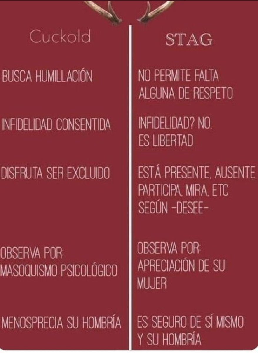 paty67977804's tweet photo. Definitivamente somos STAG https://t.co/x21HKk4tg0