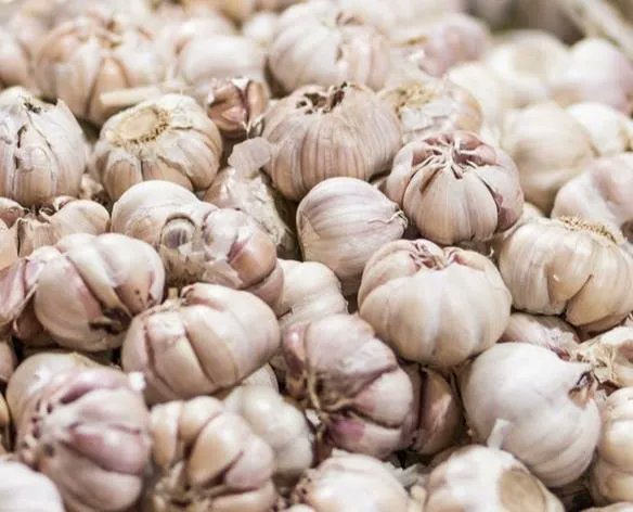 GardenOfEveFarm's tweet photo. LONG ISLAND GARLIC FESTIVAL THIS WEEKEND!!!
It’s Been a Stinkin’ Long Garlicky Time!
https://t.co/Pha4eoj5Q4
#GARLICFEST #GARLIC #FESTIVAL #GARDENOFEVE
#LIVEMUSIC #CRAFTBEER #FUNFIELDS #NORTHFORK #SUFFOLK #RIVERHEAD https://t.co/Re9fRTjNJI
