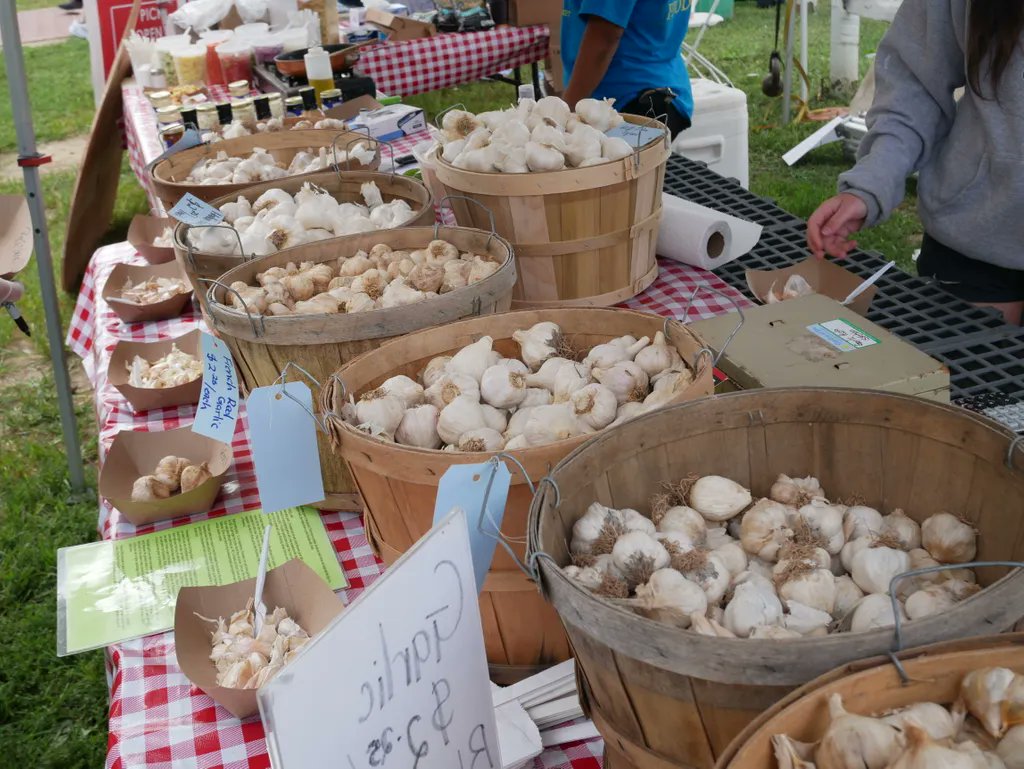 GardenOfEveFarm's tweet photo. LONG ISLAND GARLIC FESTIVAL THIS WEEKEND!!!
It’s Been a Stinkin’ Long Garlicky Time!
https://t.co/Pha4eoj5Q4
#GARLICFEST #GARLIC #FESTIVAL #GARDENOFEVE
#LIVEMUSIC #CRAFTBEER #FUNFIELDS #NORTHFORK #SUFFOLK #RIVERHEAD https://t.co/Re9fRTjNJI