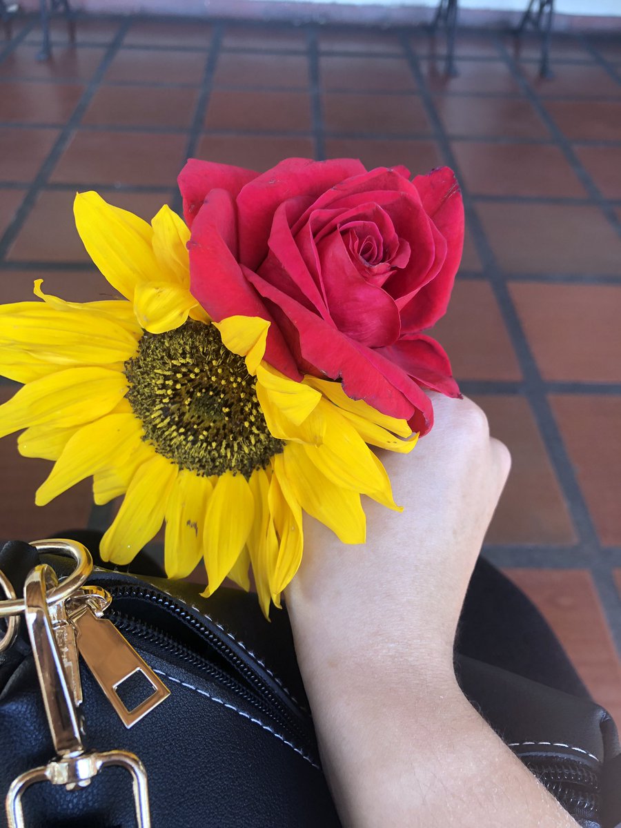NaniGarro56's tweet photo. Mismo lugar, diferentes flores, diferentes épocas, diferentes sentimientos… https://t.co/6kjwaXlHWP
