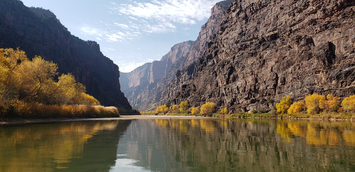 Amanda Stahlke @ecoevo.social tweet media