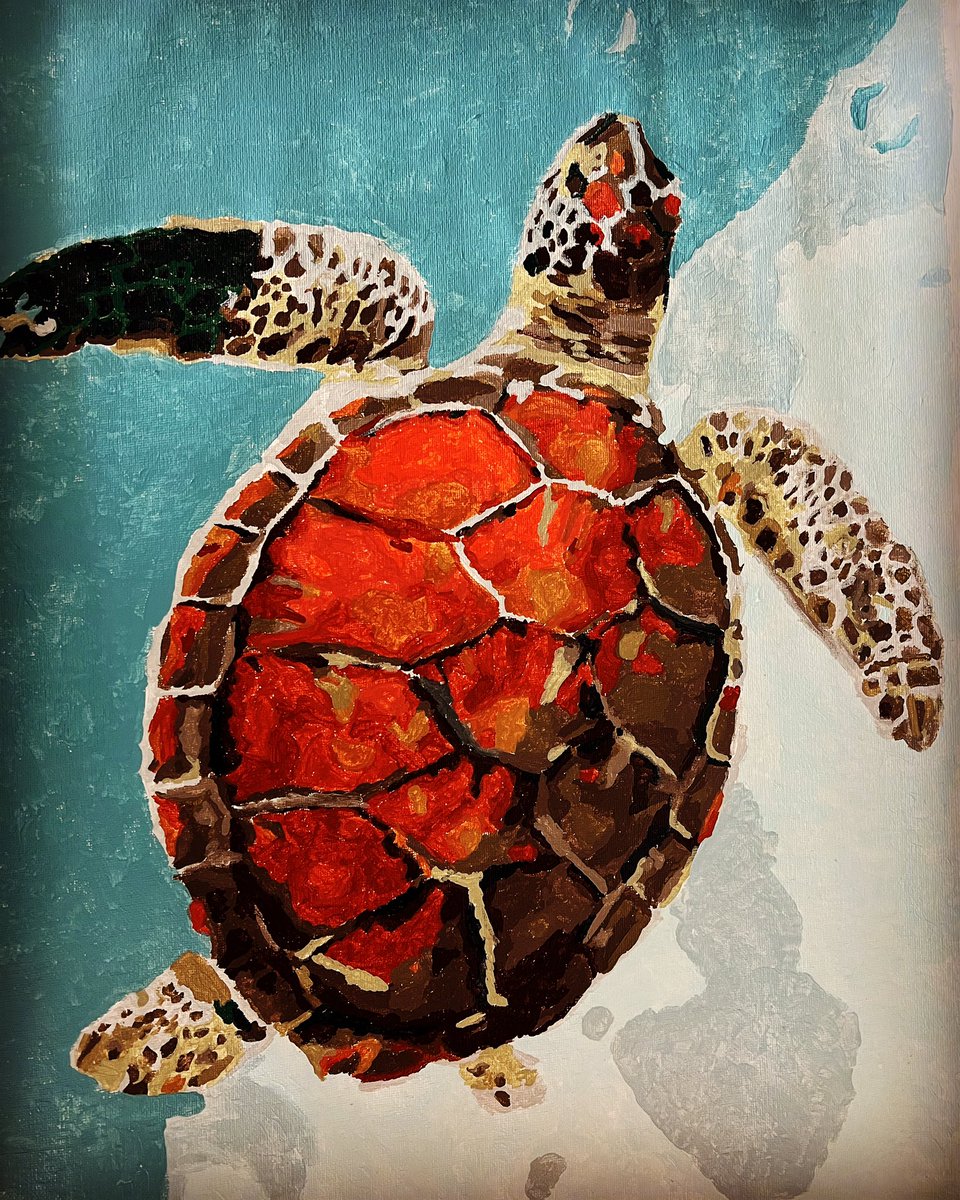 MarinaPiccioni's tweet photo. A photo a day for 2022
287 - 365

Paint by numbers by Me 🐢

#paintbynumbers #paintbynumber #paintbynumbers #turtles #fun #smile #painting #arts #art #crafts #cottagefun #turtles #water #ocean https://t.co/hP9cK7d8vI