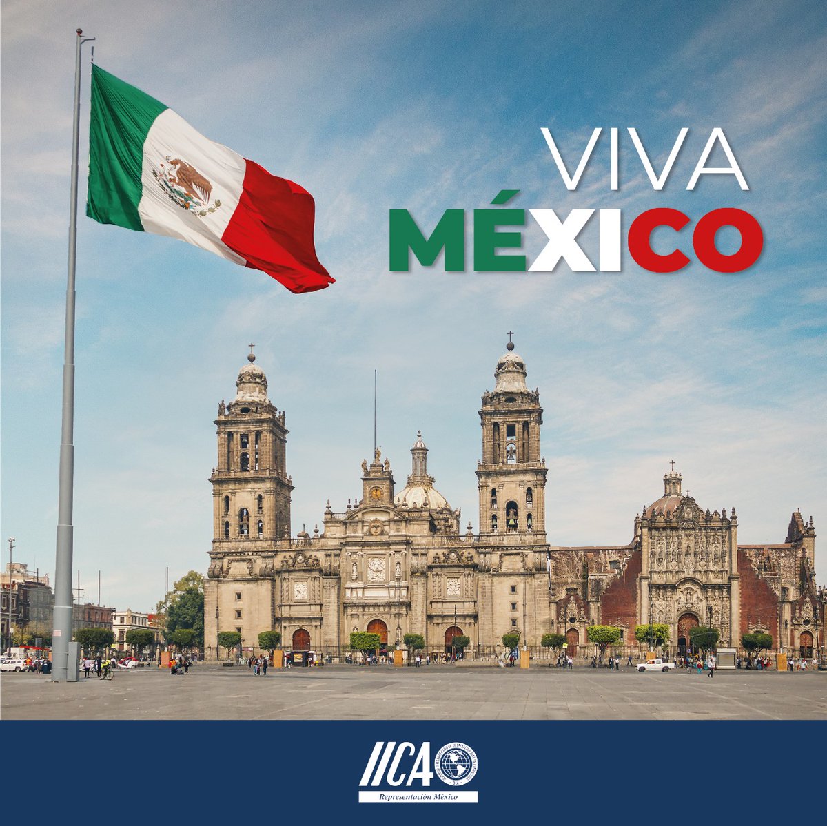 IICA México tweet media
