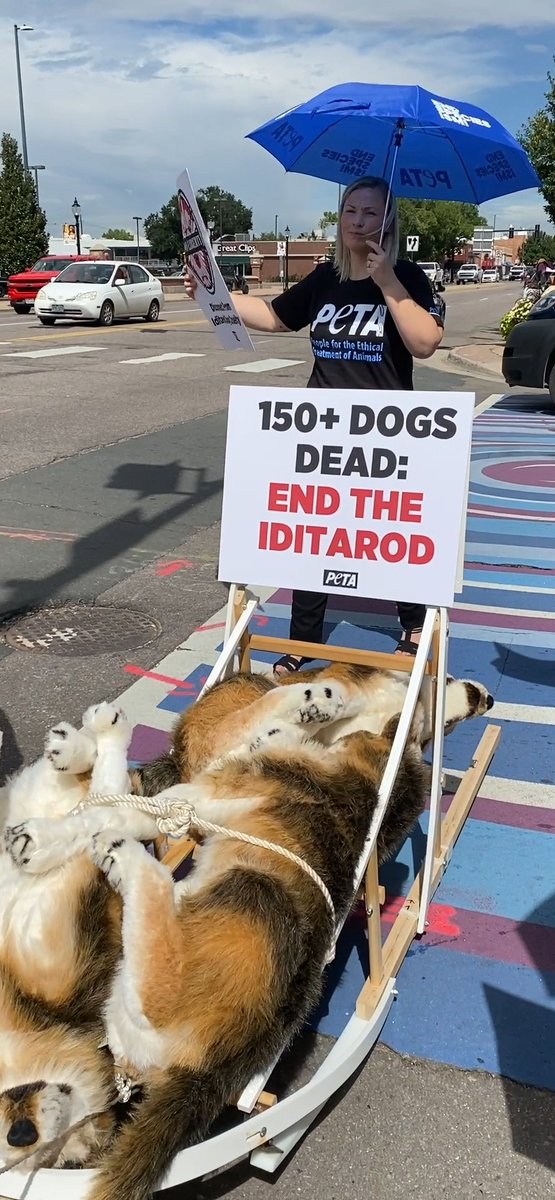 PETA on Twitter "This “dead dog” is haunting Liberty Media CEO Greg
