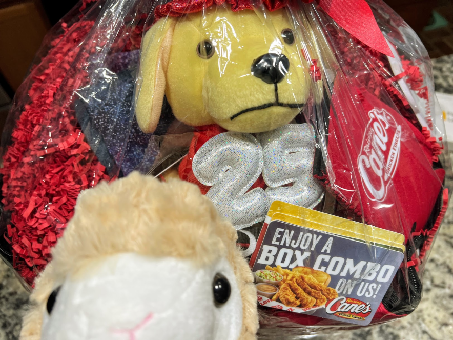 LANallNight's tweet photo. Huge thanks to Raising Cane's for donating this gift basket to our raffle! If you'd like a chance to win it, you can register for our event here: https://t.co/VEiImezufr
#lanallnight #lanfest #lanparty #pcgamer #batlan #batlanbegins #vr #gaming #llama https://t.co/lAZGOQOLPP