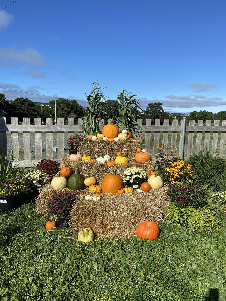 Fall is in the air! 

#fallonthefarm #falldecor
