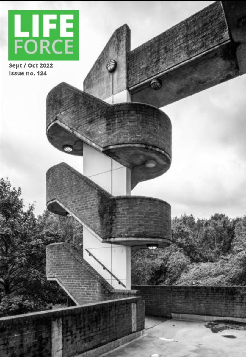 Sept/Oct ISSUE OUT NOW ON LIFEFORCEMAGAZINE.COM
#photojournalism