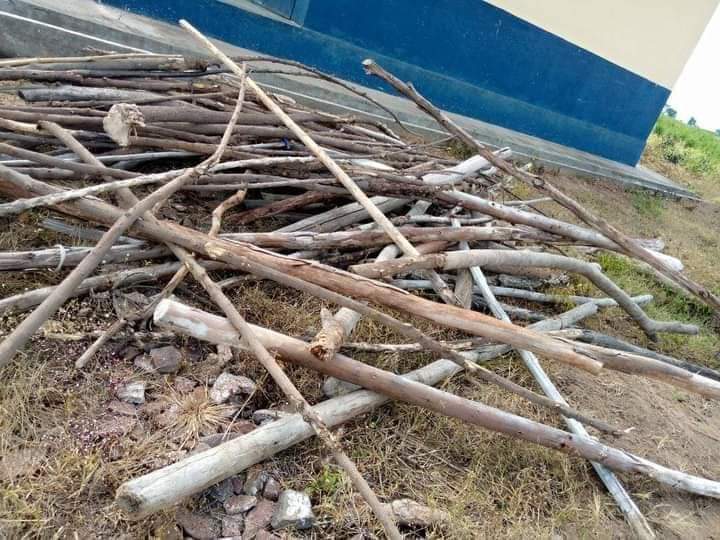 Kevynibock's tweet photo. Affectée dans une école publique sans salle de classe, elle décide de construire un abri pour dispenser ses cours

Marguerite, enseignante nouvellement affectée dans la région du Nord à l'école publique de Laïnde-bilonde a décidé de construire des huttes pour dispenser les cours https://t.co/AnnQk4rbiH