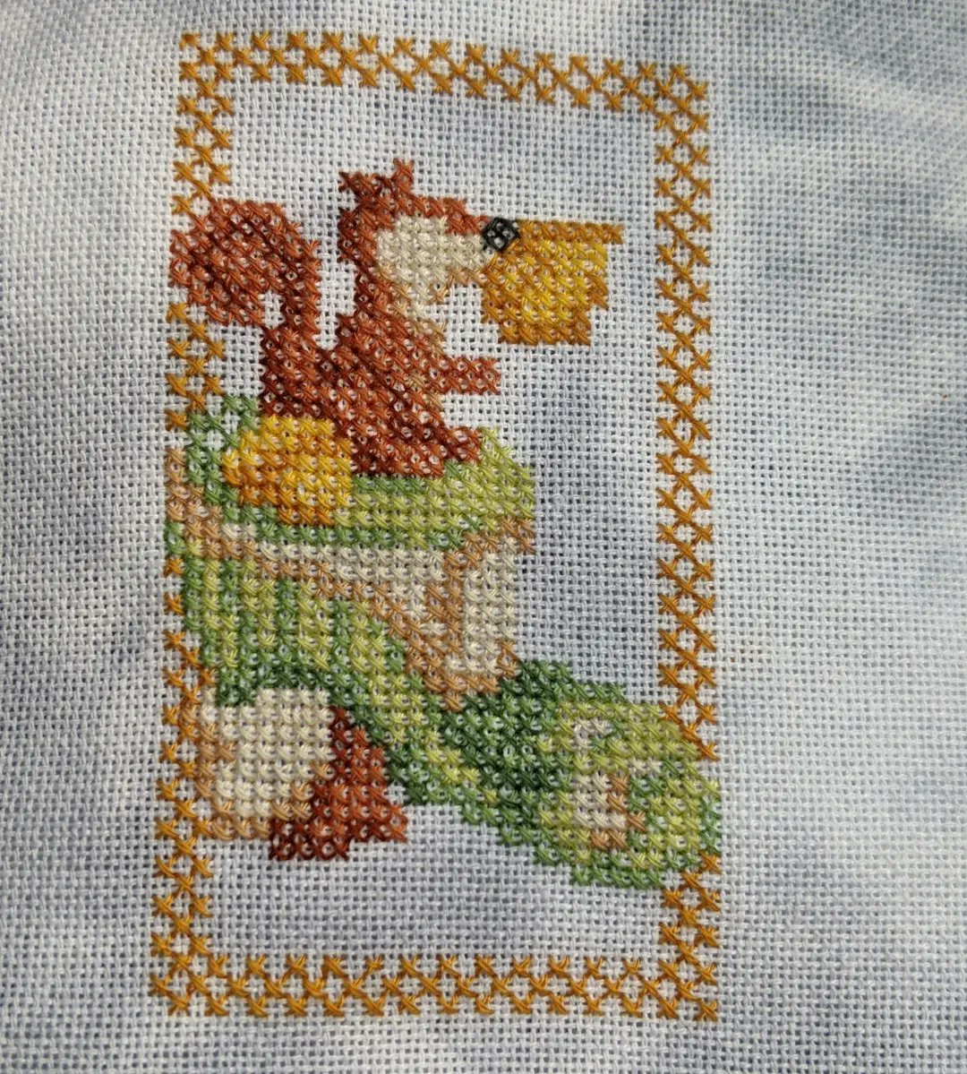 Danielle Hill tweet media