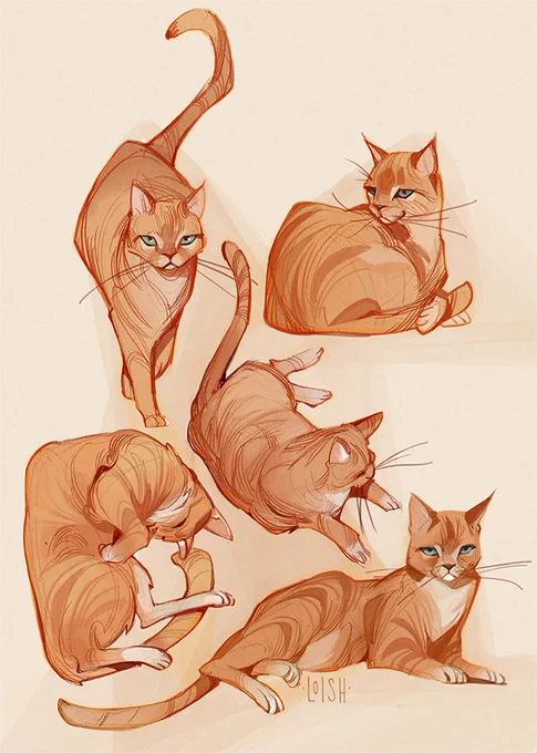 this is my neighbor's cat, he thinks this is his house sometimes. his name is monster and here's some art of him. 