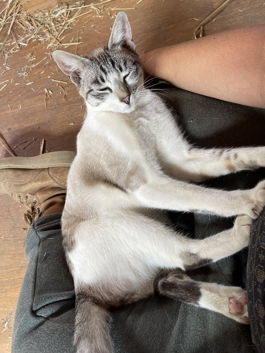 Jessica Howell tweet media