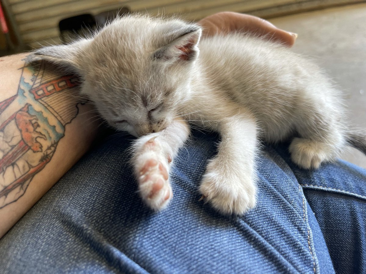 Jessica Howell tweet media