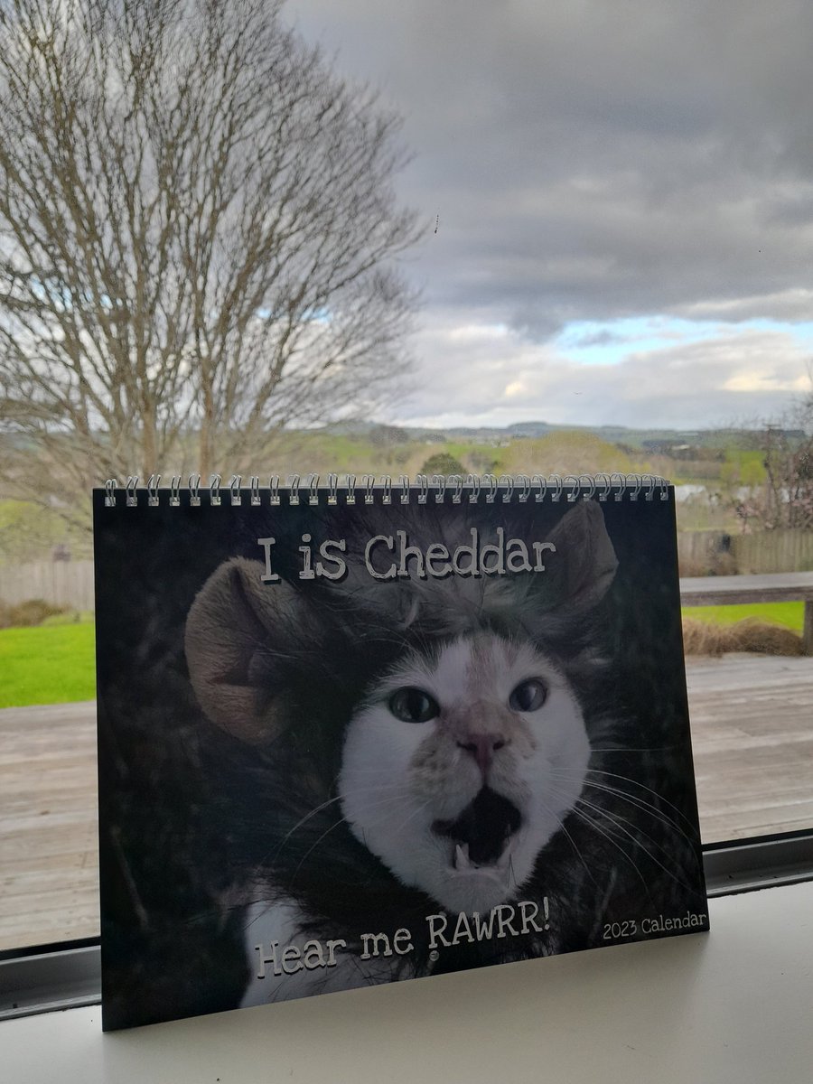 randrporter's tweet photo. @FartyCheddarCat it arrived!  It got here so fast, all the way to New Zealand.  What a fantastic calender ❤ https://t.co/cexOGhVSpU
