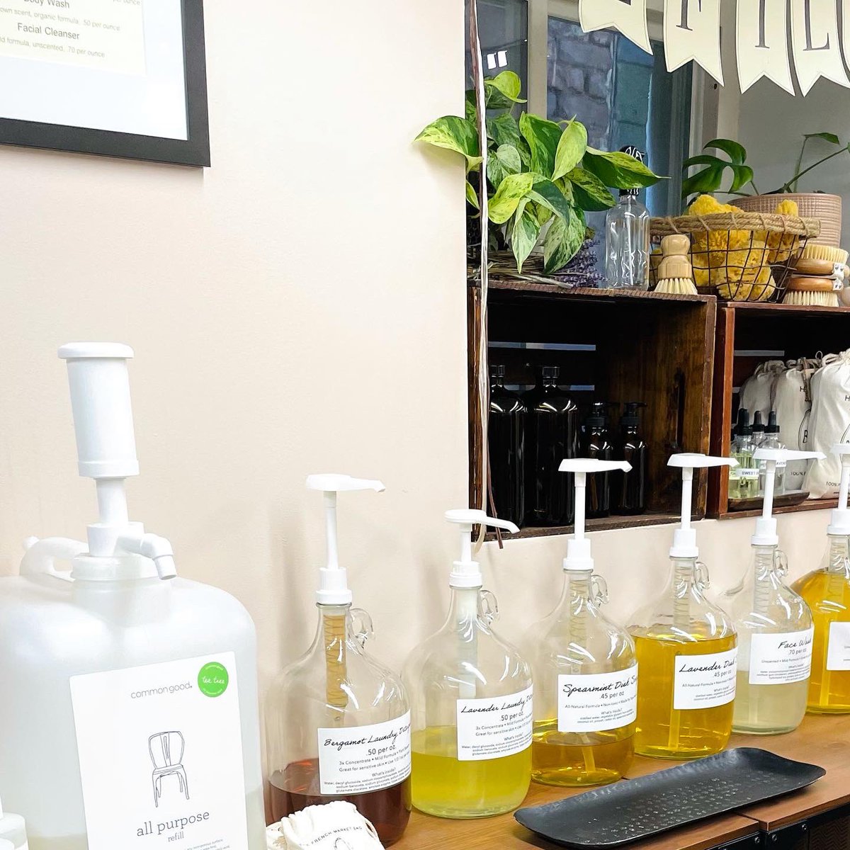 Greener_JC's tweet photo. Greener JC’s interns visited The Lucky Honeybee over the summer, which is an amazing local business that is also a recipient of Greener JC’s Greening Your Business Grant! Watch our visit here: https://t.co/xpbYpP51YB 💚🐝 

#Sustainability #GreenBusiness #JCMakeItGreen #GreenerJC https://t.co/42Btbw7het