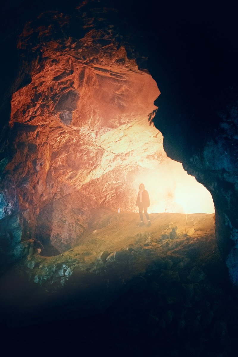 Mercy Falls | Movie tweet media