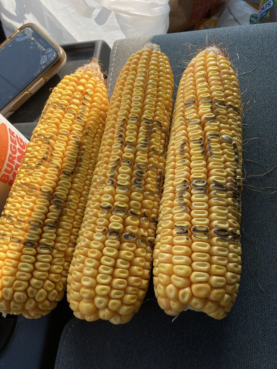 Morgan Goodman tweet media