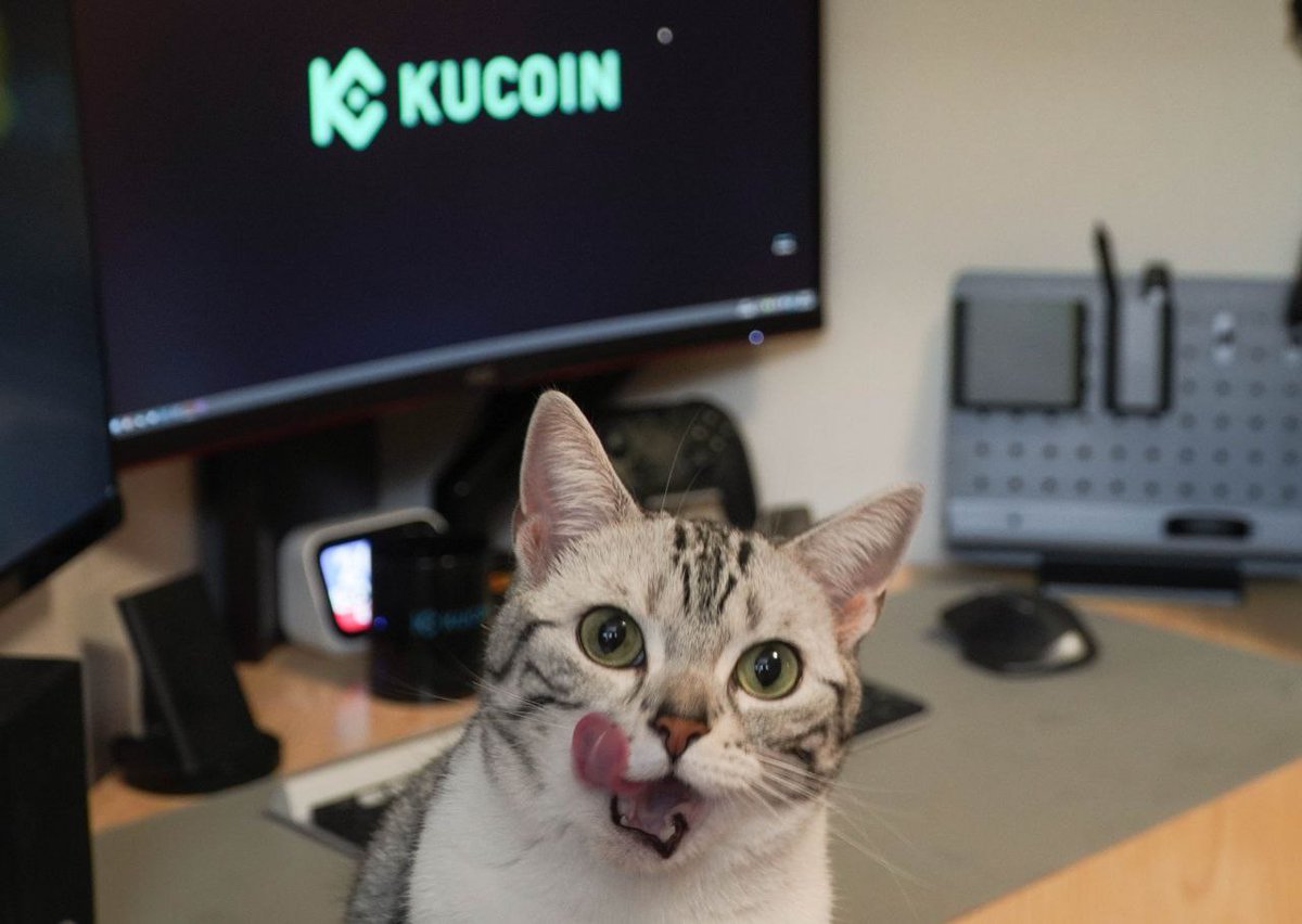 Andresilva1887's tweet photo. @kucoincom The one and only #catcoin
Im waiting for the day to trade #catcoin on #kucoin https://t.co/wW3Um6gldZ
