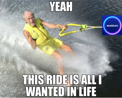 LilGanstaX's tweet photo. @multichaindao #MultiChain #MultiDAO #MultichainVerse 
Meme contest https://t.co/OZRlXmAICY