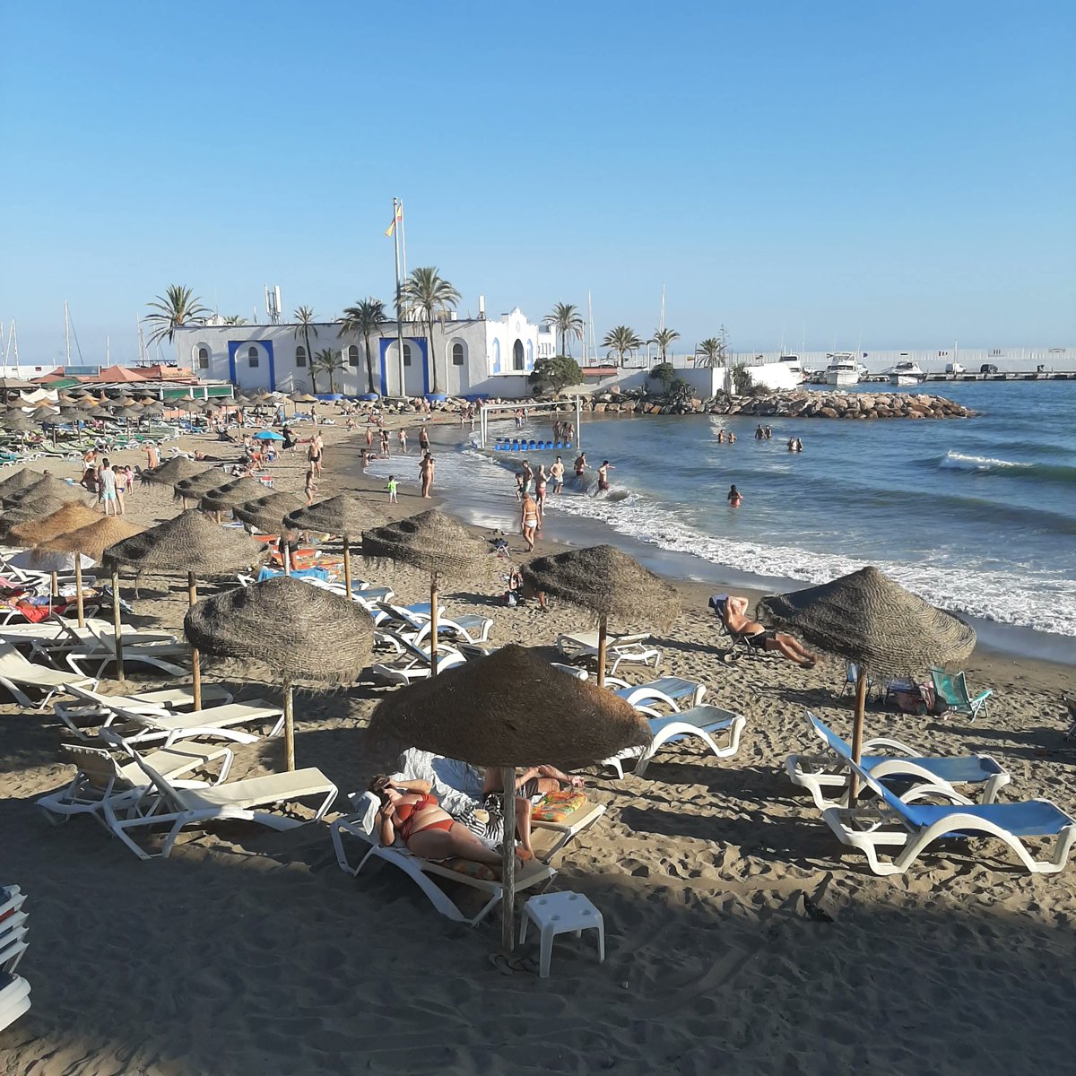 Adam Chandler tweet media