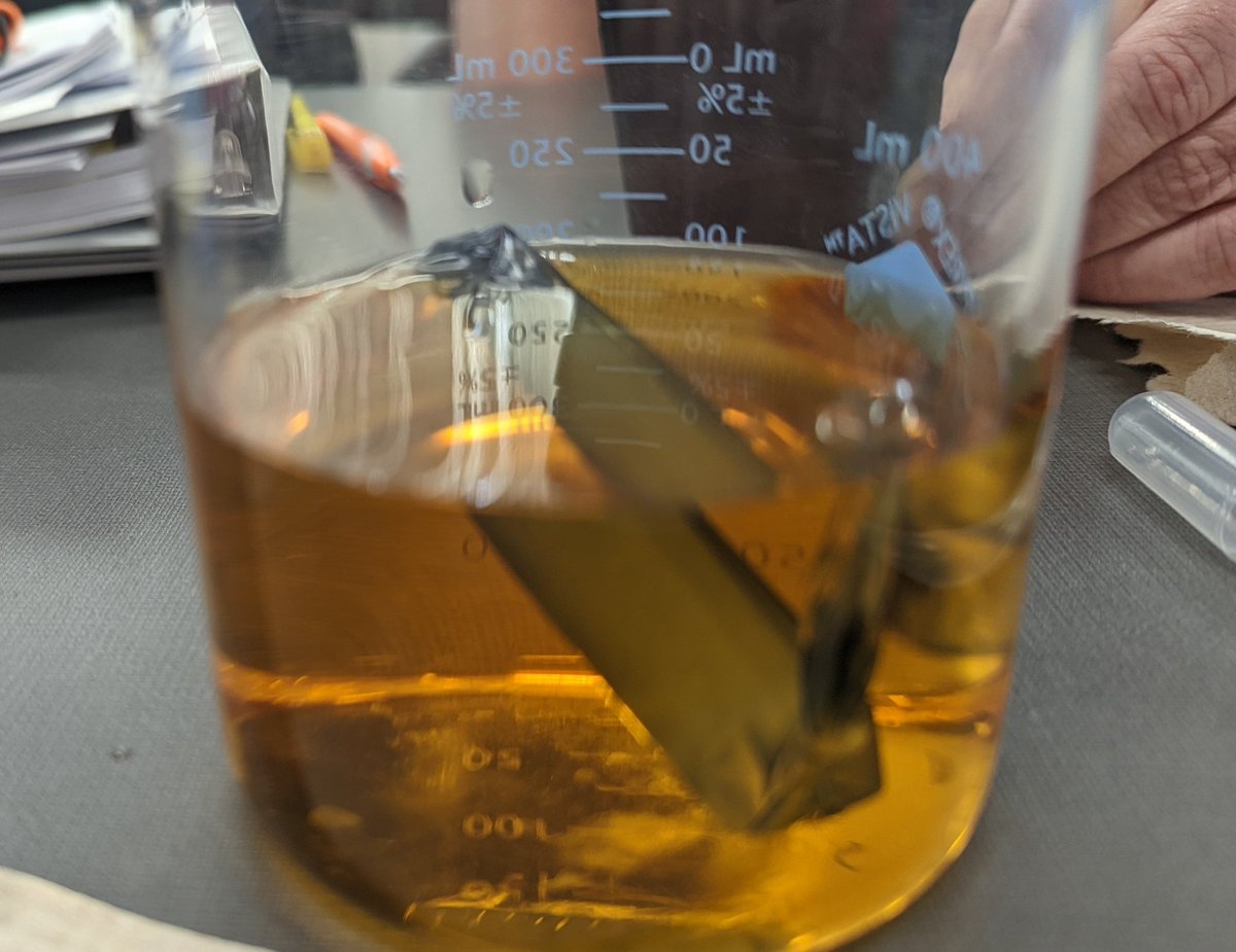 Mary Jennings tweet media