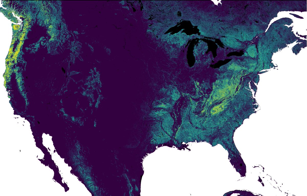 Join us recovering academics and help deploy the premier global #forest #carbon mapping system 

Our Forest Carbon Data Scientist will play a key role in ensuring forest carbon projects worldwide are sequestering real and verifiable amounts of CO2

salo.ai/careers