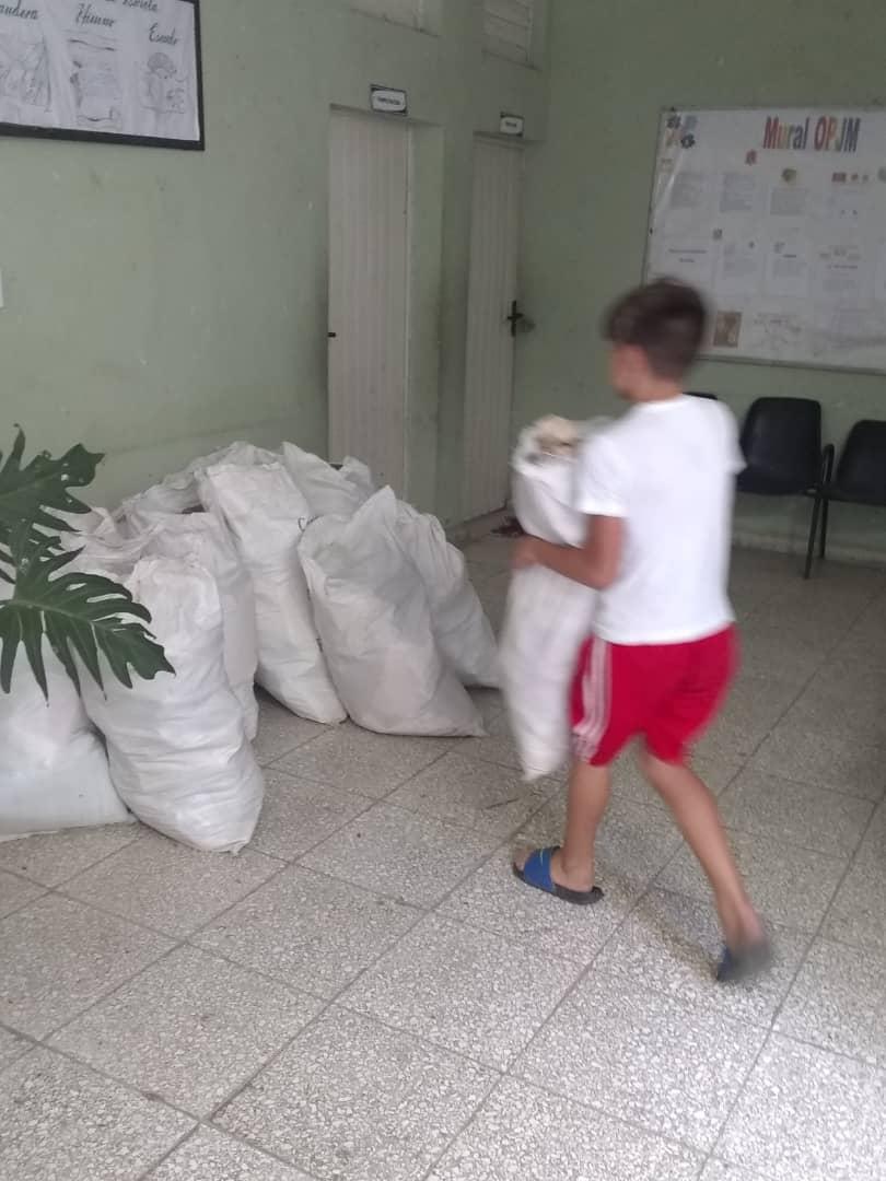 La Escuela Remberto Abad Alemán Rodríguez los pioneros 👧👨recuperan materia prima en vinculación estrecha con las entidades del Consejo Popular de Guayos donde reina el entusiasmo y la alegría, poniéndole a la tarea ❤️❤️ porque #CubaViveYTrabaja #OPJM #UJC  🇨🇺🇨🇺🇨🇺🇨🇺🇨🇺🇨🇺