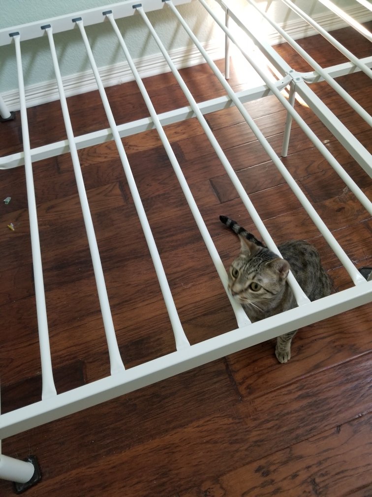 snickarp tweet media