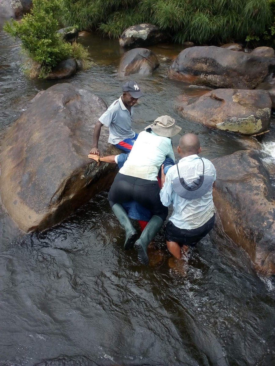 Carly_Batist's tweet photo. with #tech4wildlife, there will always be #fieldworkfails... enjoy these (at my expense😂) @WILDLABSNET
1 - my team not trusting me to get across a rocky river un-assisted (they're not wrong to worry..)
2 - my face when I see another mountain to climb
3 - tent poles snapping😭 https://t.co/OUcFp5dsYU