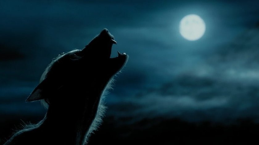 Hogwartssite's tweet photo. “Harry Potter y el prisionero de Azkaban” es una joya visual. https://t.co/eNJrnKuHGi