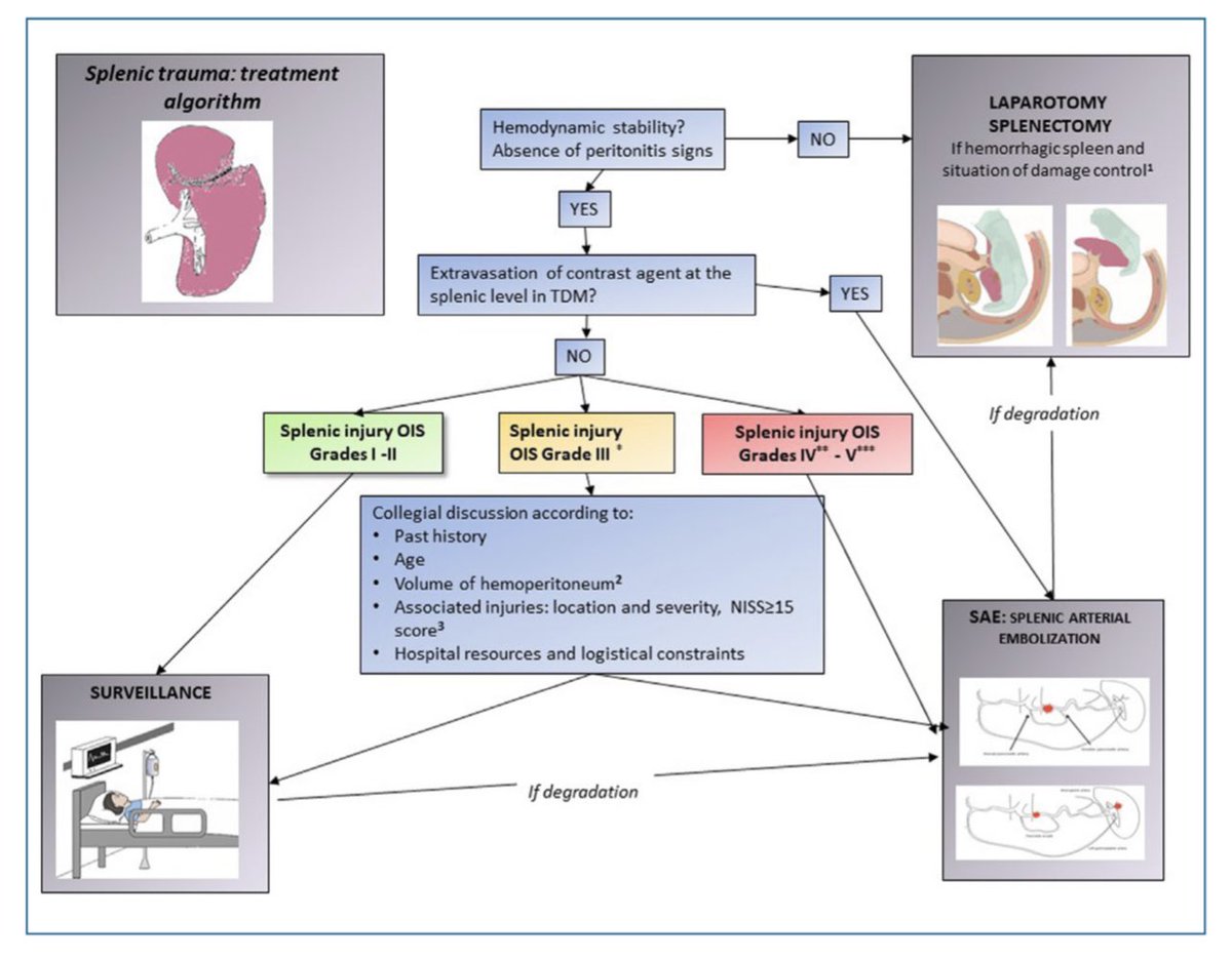 Cirbosque #SoMe4Surgery on Twitter: 