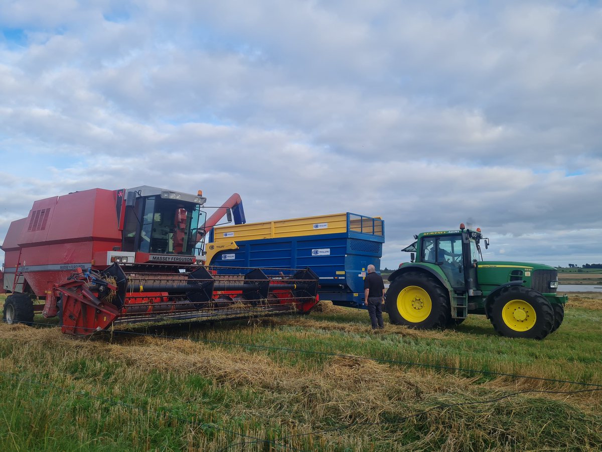 Took on a new block of ground on a long term lease this spring. Sowed spring oats in this particular field which was severely neglected. Sowed in the first part May and harvested today at 2.7t/ac. Not a record crop by any means but it's amazing what a bit of TLC to land can do 🌾