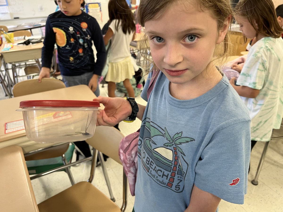 MrsSabath's tweet photo. This Backyard Scientist brought her discovery to share with her class! @D23ross #rosspride #proud2BD23 https://t.co/sVVoARlna7