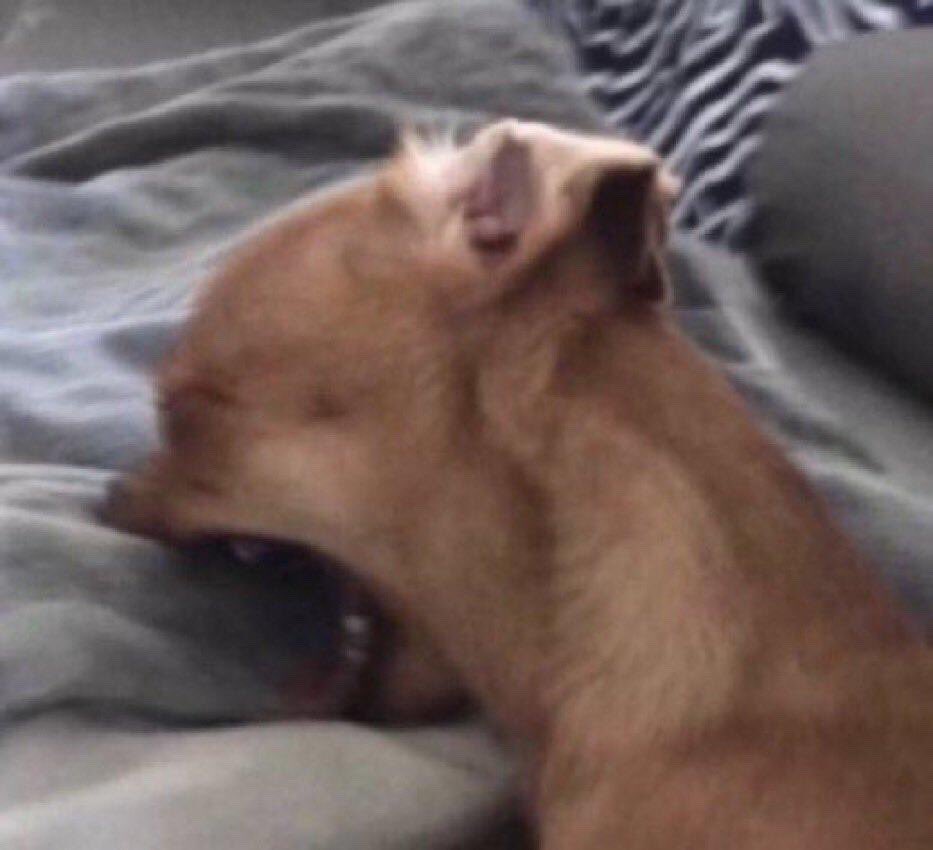 bashjtm's tweet image. LA PLUS BELLE