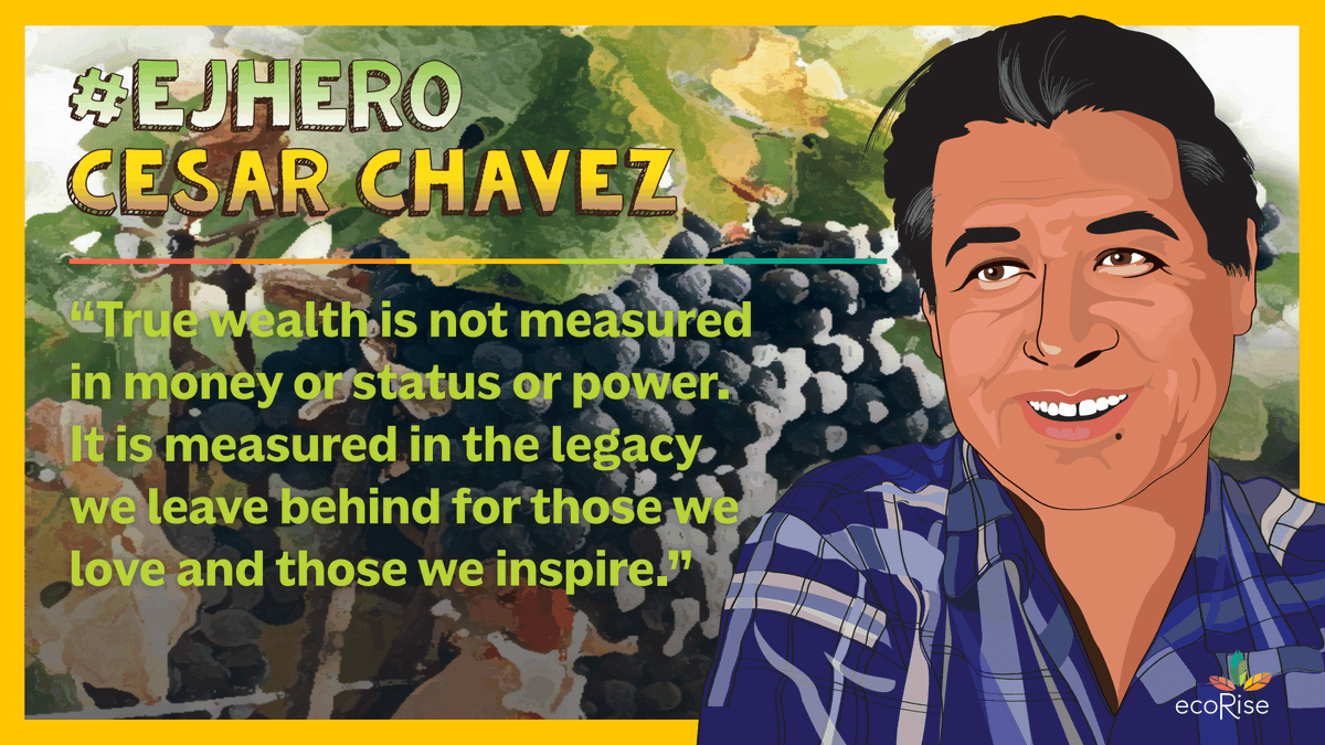ecorise's tweet image. Celebrate the first day of #HispanicHeritageMonth with #EJHero Cesar Chavez. Cesar was an American labor &amp;amp; civil rights activist whose work led to scientific research &amp;amp; public info on the dangers of pesticides to human health &amp;amp; ecosystems... (1/2)