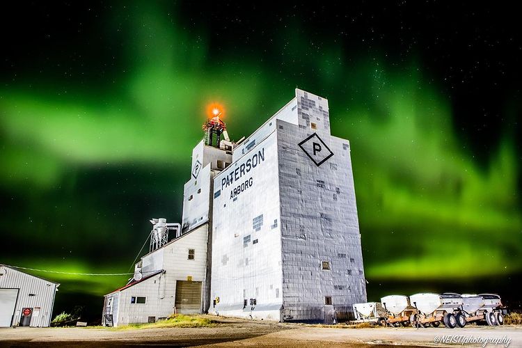 Paterson Grain tweet media