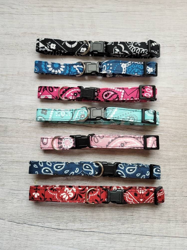oddballcattoys's tweet photo. Thanks for the great review Lillian Weadon ★★★★★! https://t.co/PZeRvlymub #etsy #flat #no #quickreleasebuckle #cat #bandana #catcollars #quickreleaseclasp #skinny #lightweightcollars https://t.co/nGdkmejgVl