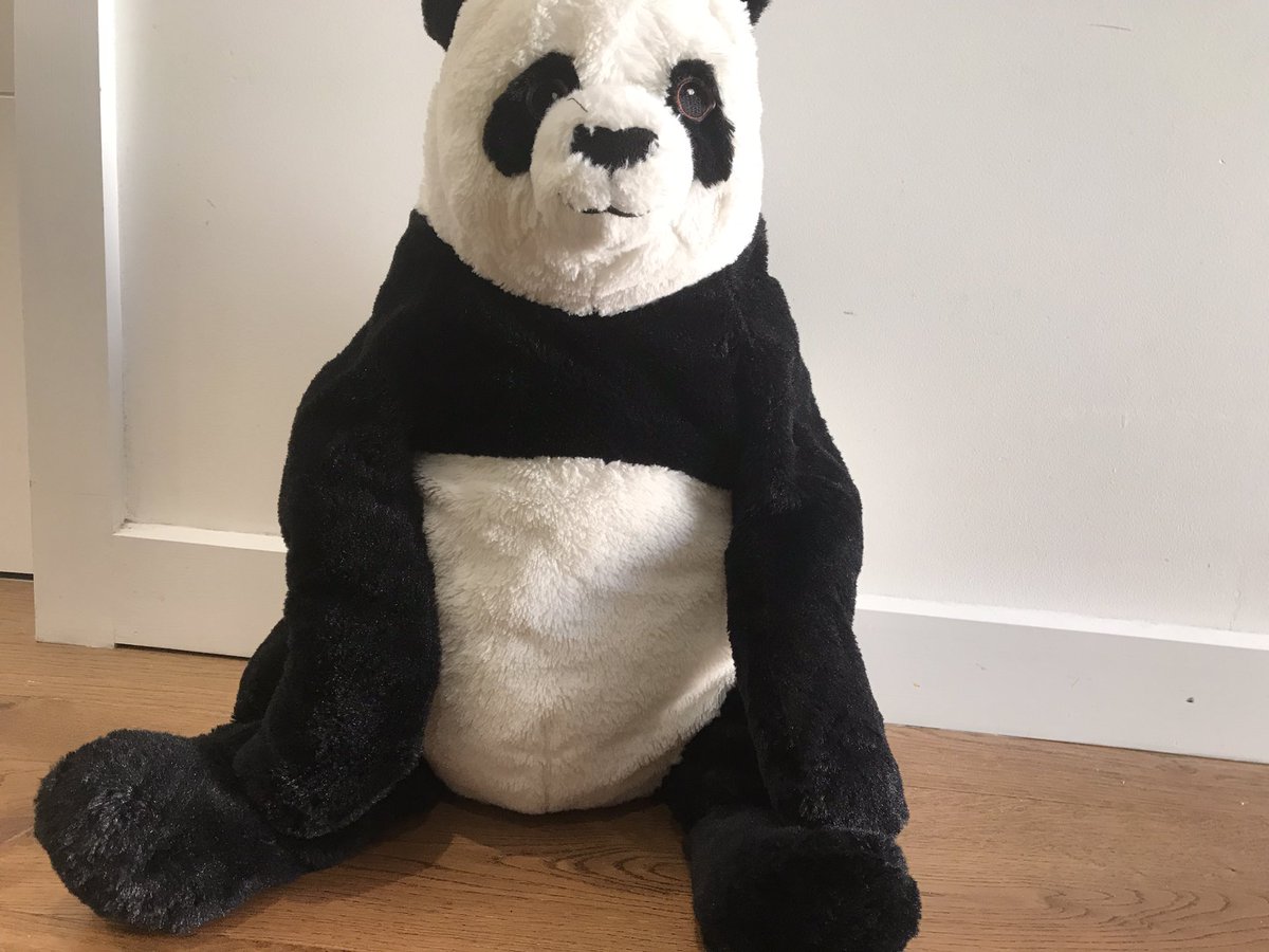 Alex Panda tweet media