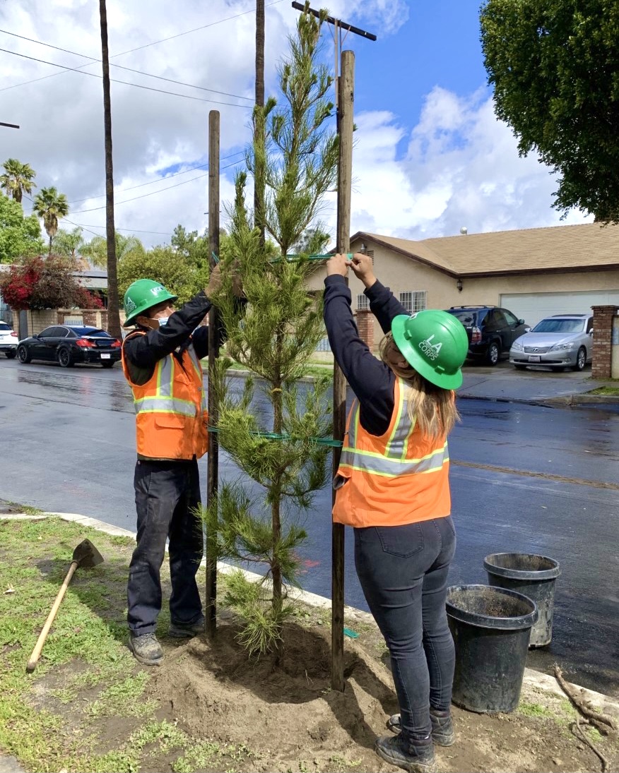 Help us improve the tree canopy in #pacoima and #sunvalley. Message us if you’re interested in having a tree planted at your home! 🌳🌱