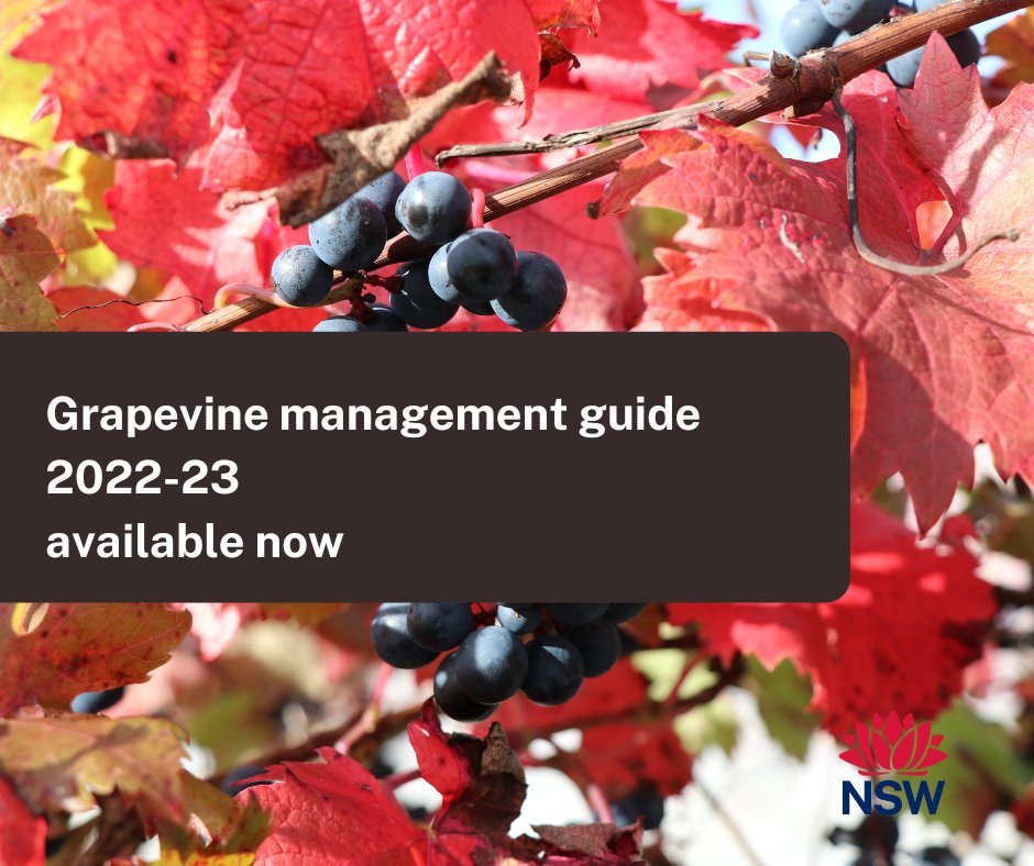 This year’s Grapevine management guide has been released. You can download your copy at dpi.nsw.gov.au/agriculture/ho… @nswwine